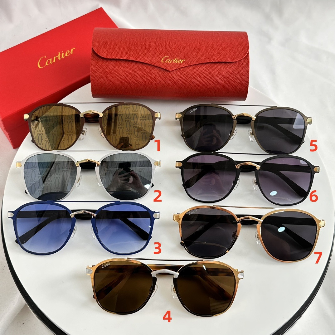 Ca*t*er Glasses CT0012S 56-21-145