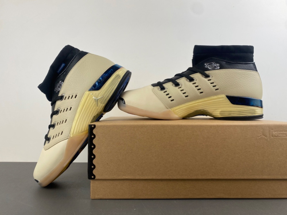 UA Air Jordan 17 Retro Low SP Infinite Archives