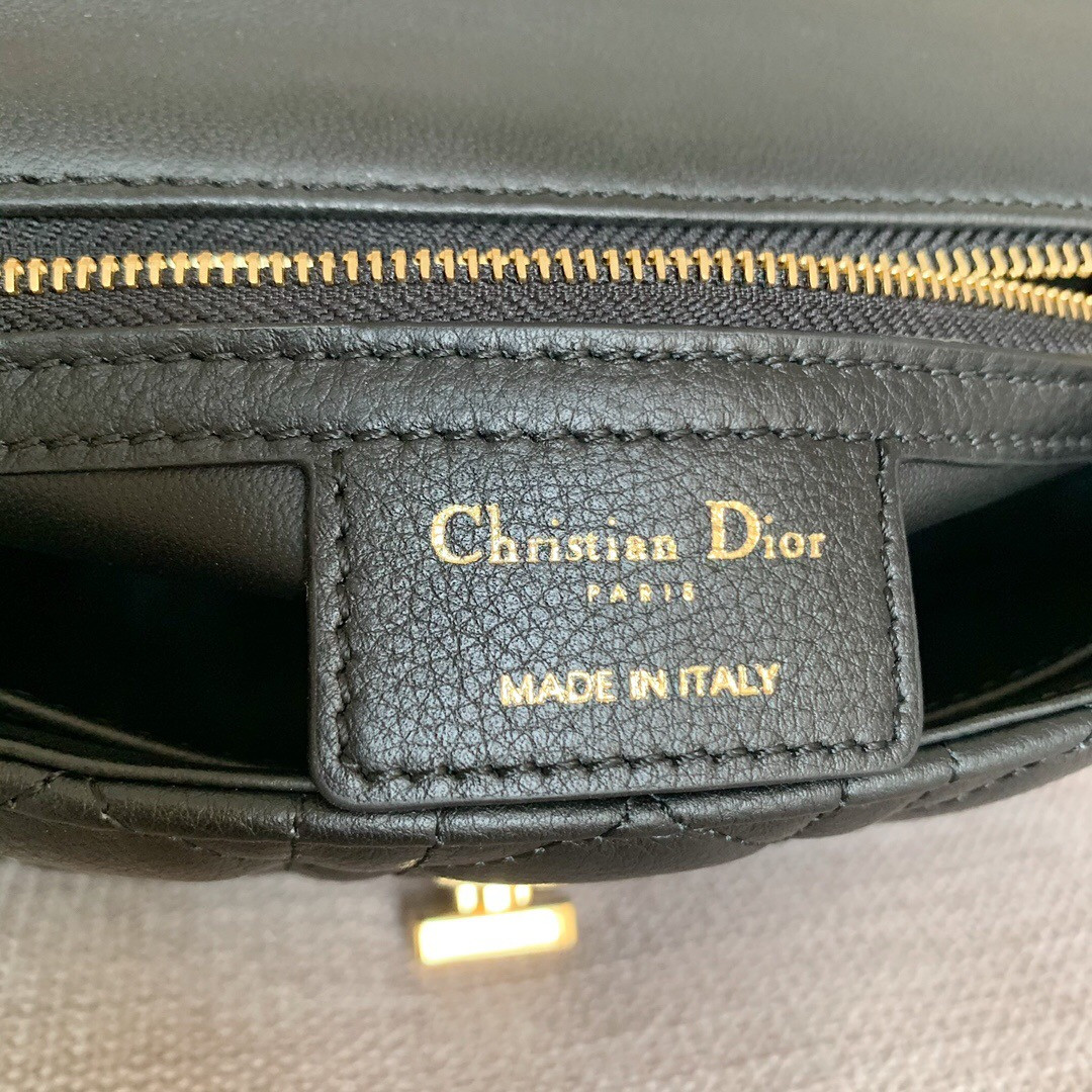 Small D*0r CARO BAG