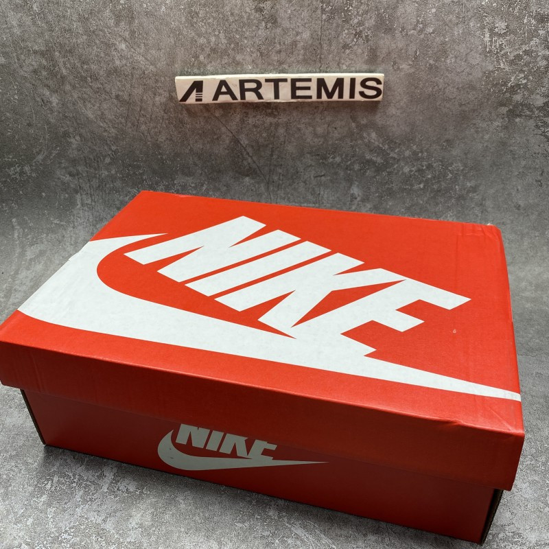 N0*H carolina a&t x nike dunk low ayantee