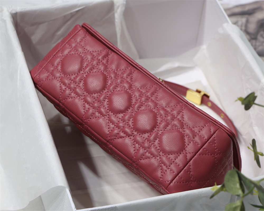 MEDIUM D*0r CARO BAG S*pple Cannage Calfskin 25.5 x 15.5 x 8 cm