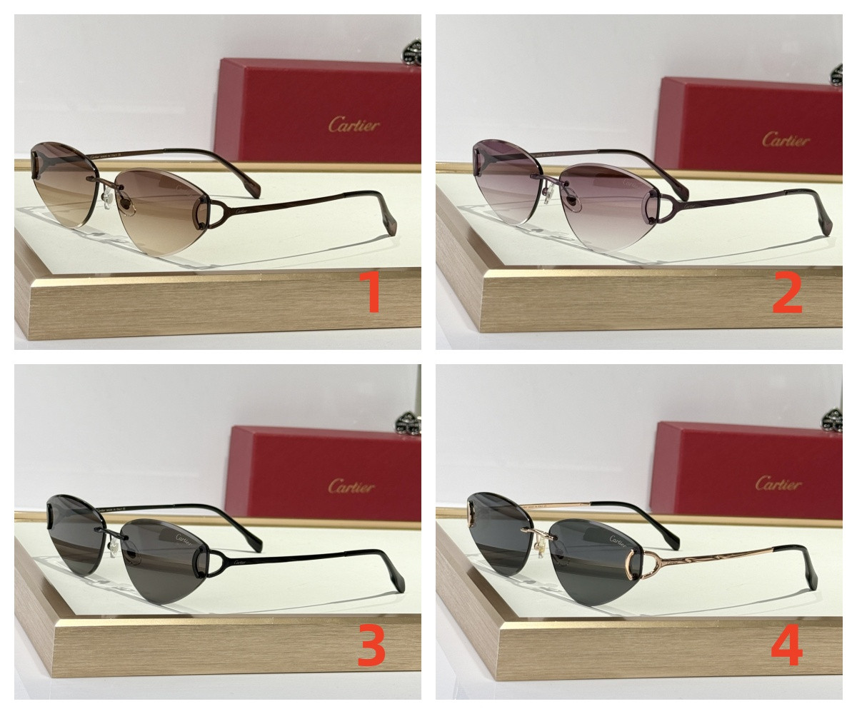Ca*t*er Glasses CT0334S 65-15 146