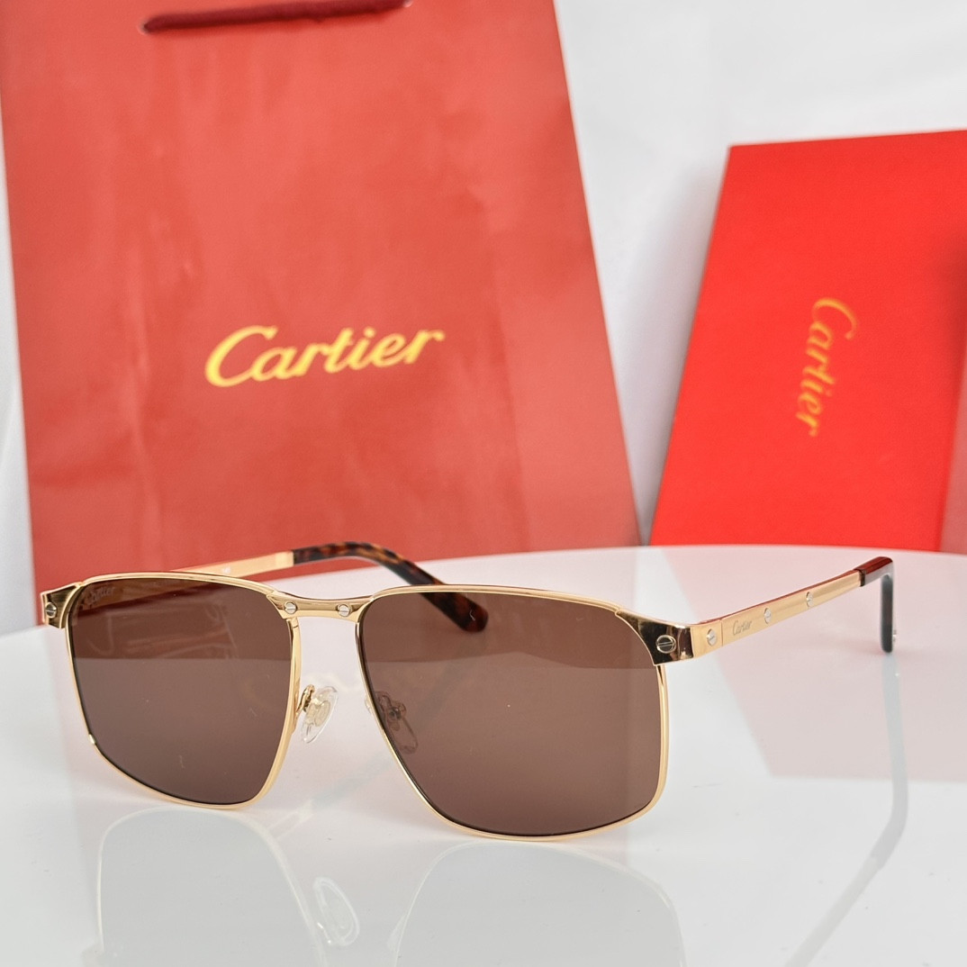 Ca*t*er glasses ct0322s 145