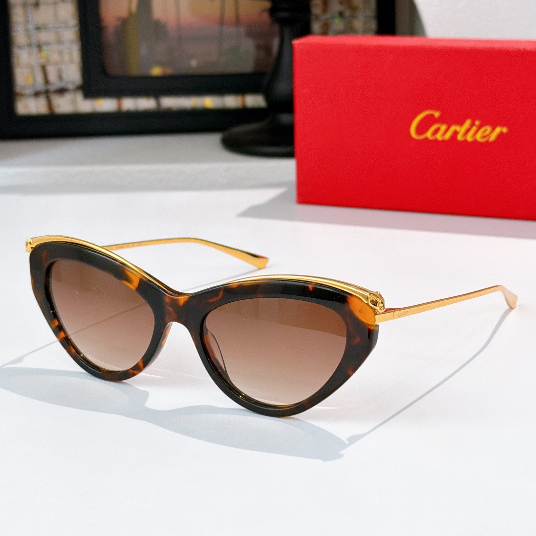 Ca*t*er glasses ct0596s 140